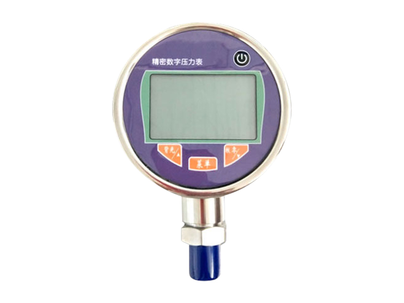 ZT-SY08-數字壓力表.jpg